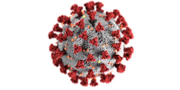 COVID-19 virus model showing its structure COVID-19病毒模型显示其结构