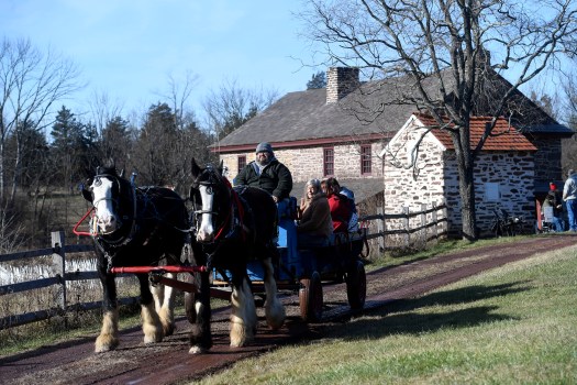 A horse-drawn wagon team loaded with guests is driven by Joshua Graybill of Lancaster during the Homestead Holiday Saturday at the Daniel Boone Homestead in Exeter Township. (BILL UHRICH - READING EAGLE) 星期六,在埃克塞特镇的丹尼尔·布恩宅基地,兰开斯特的约书亚·格雷比尔驾驶着满载客人的马车。(bill uhrich -读鹰)